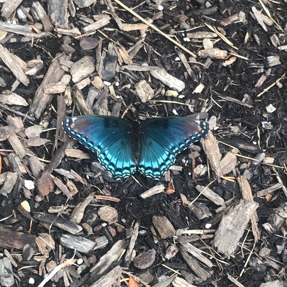 Meet your Posher, Erika